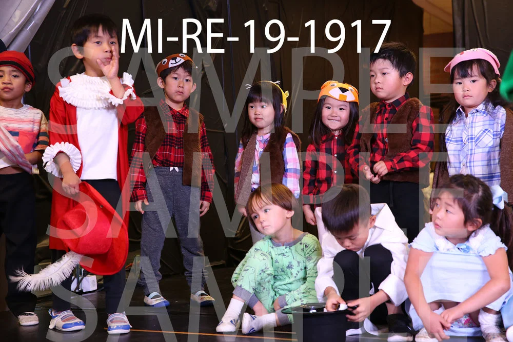 MI-RE-19-1917.jpg