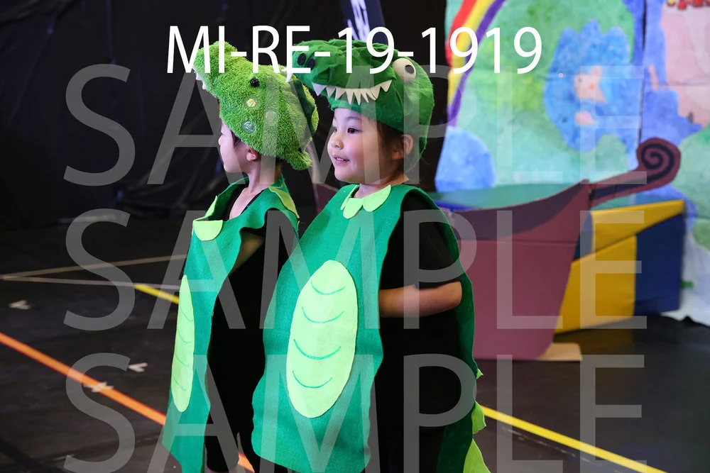 MI-RE-19-1919.jpg
