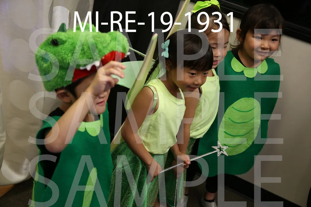 MI-RE-19-1931.jpg