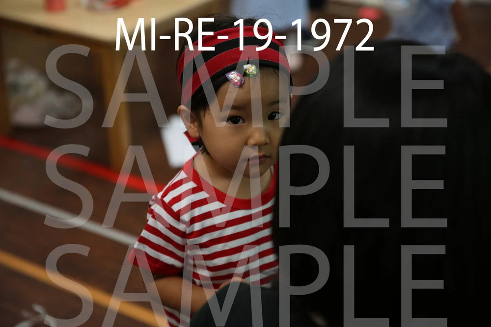 MI-RE-19-1972.jpg