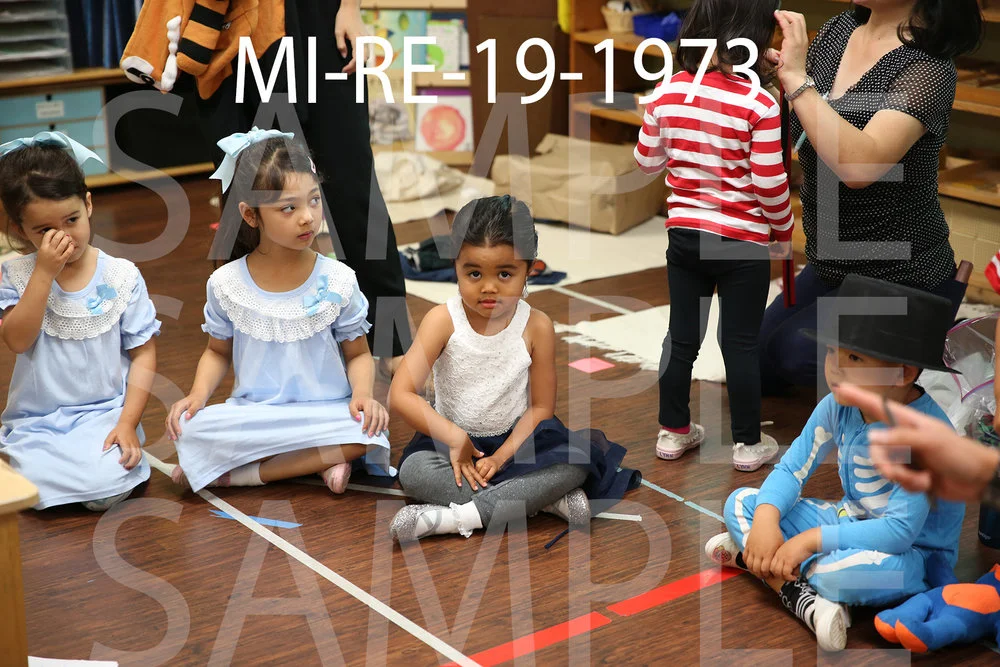 MI-RE-19-1973.jpg