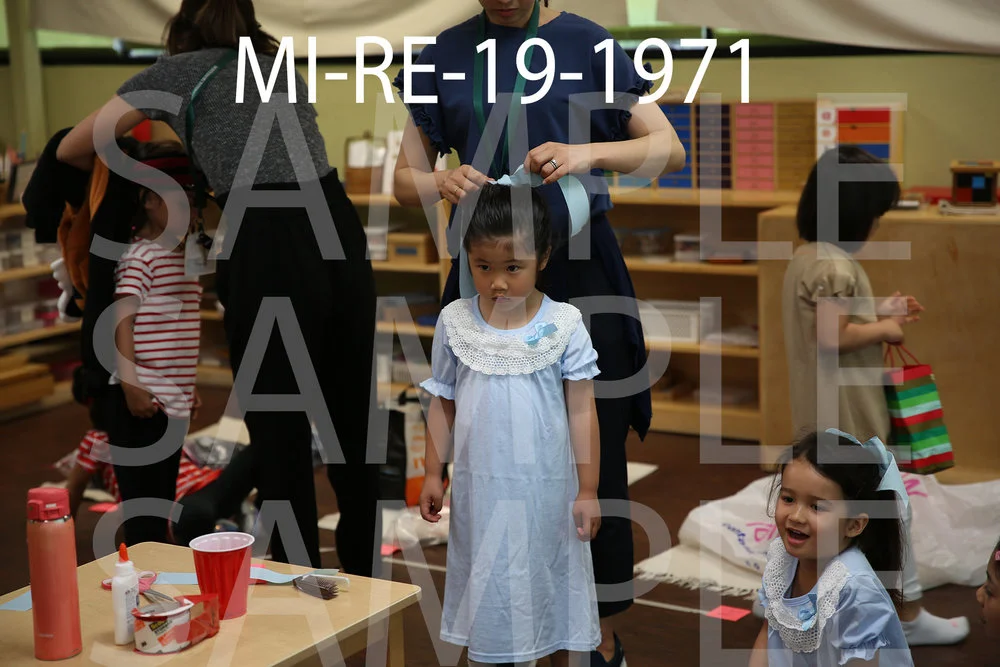 MI-RE-19-1971.jpg