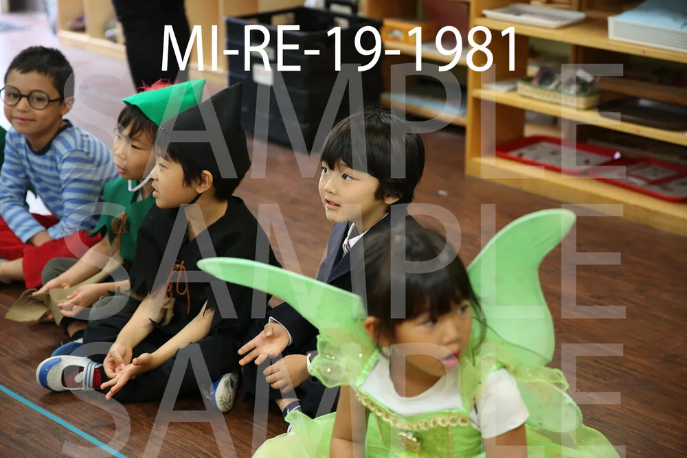 MI-RE-19-1981.jpg