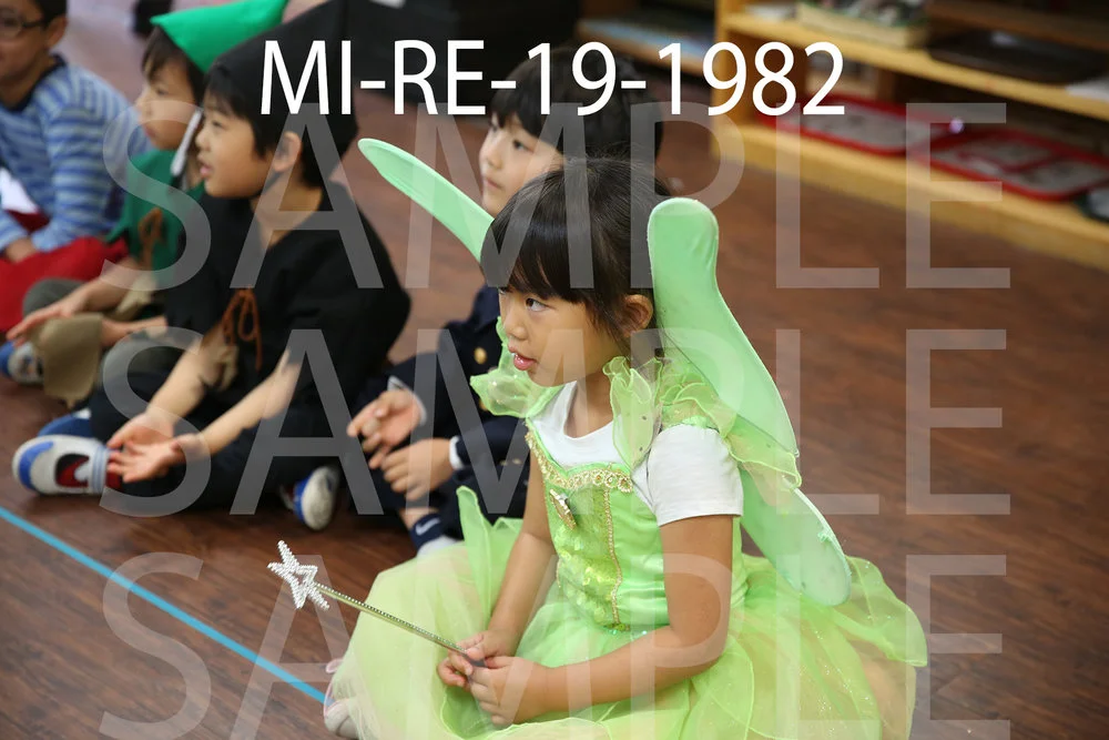 MI-RE-19-1982.jpg