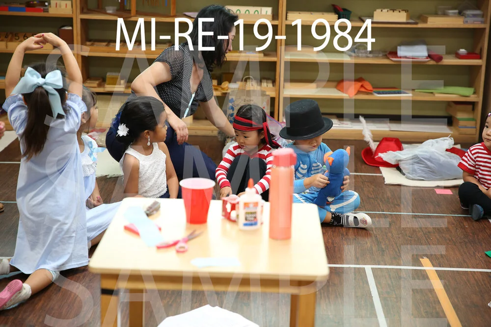 MI-RE-19-1984.jpg