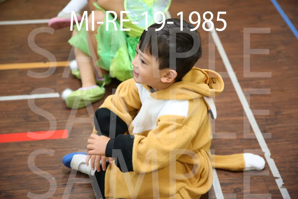 MI-RE-19-1985.jpg