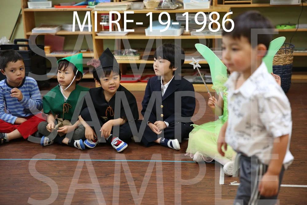 MI-RE-19-1986.jpg