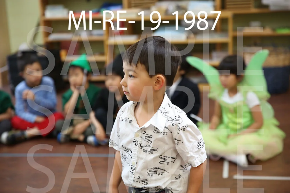 MI-RE-19-1987.jpg