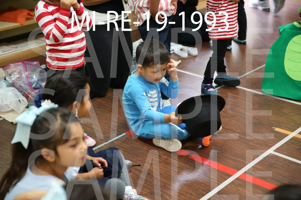 MI-RE-19-1993.jpg