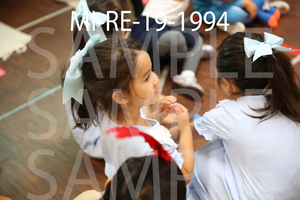 MI-RE-19-1994.jpg