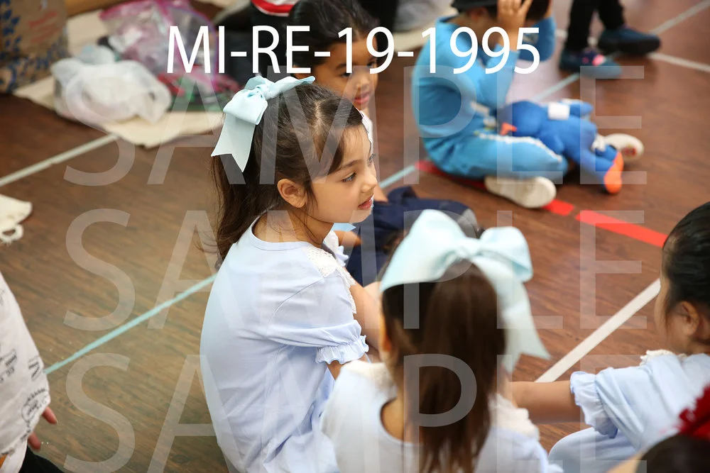 MI-RE-19-1995.jpg