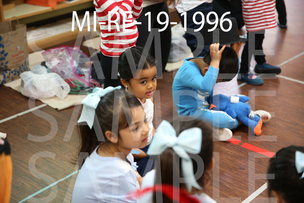 MI-RE-19-1996.jpg