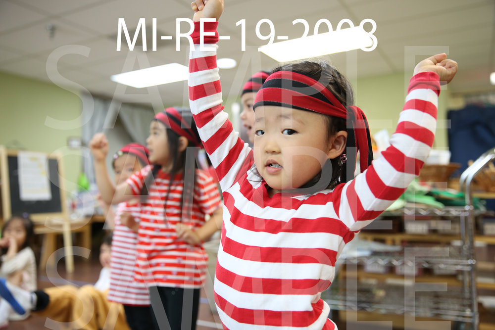 MI-RE-19-2008.jpg