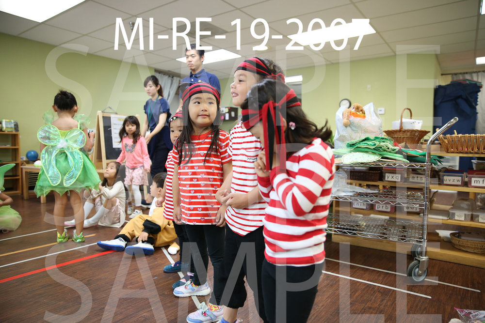 MI-RE-19-2007.jpg