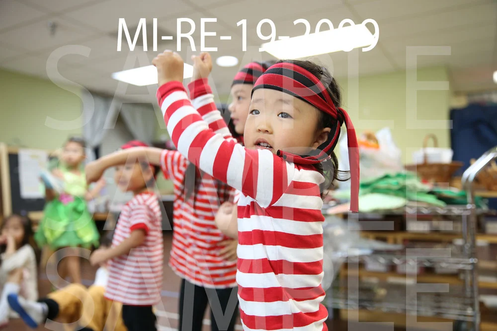 MI-RE-19-2009.jpg