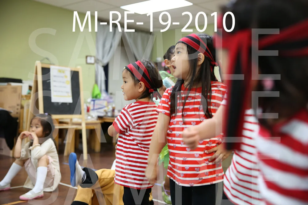 MI-RE-19-2010.jpg