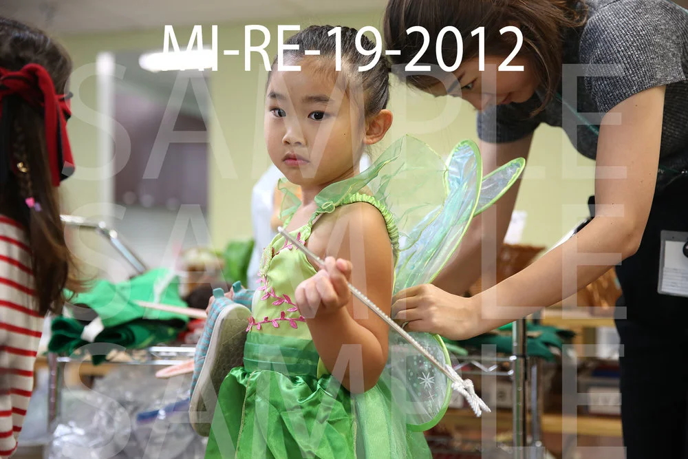 MI-RE-19-2012.jpg