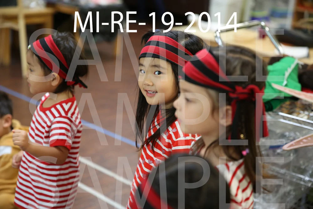 MI-RE-19-2014.jpg