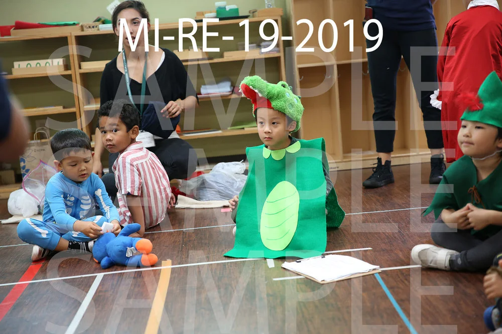MI-RE-19-2019.jpg