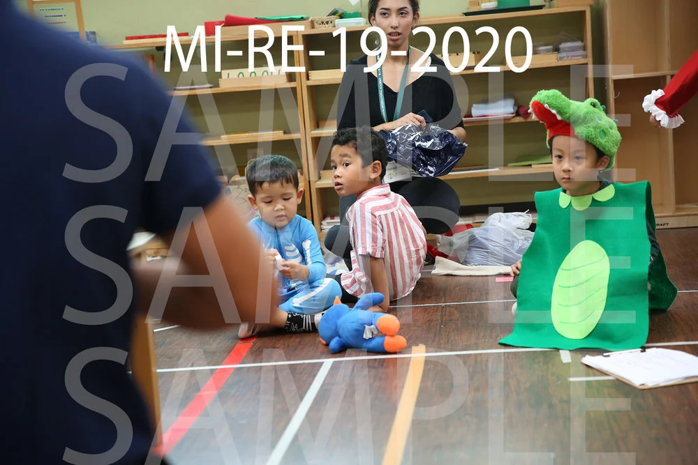 MI-RE-19-2020.jpg