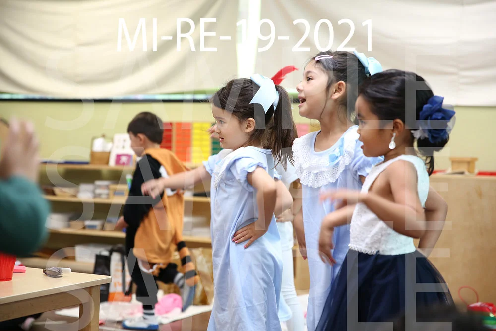 MI-RE-19-2021.jpg
