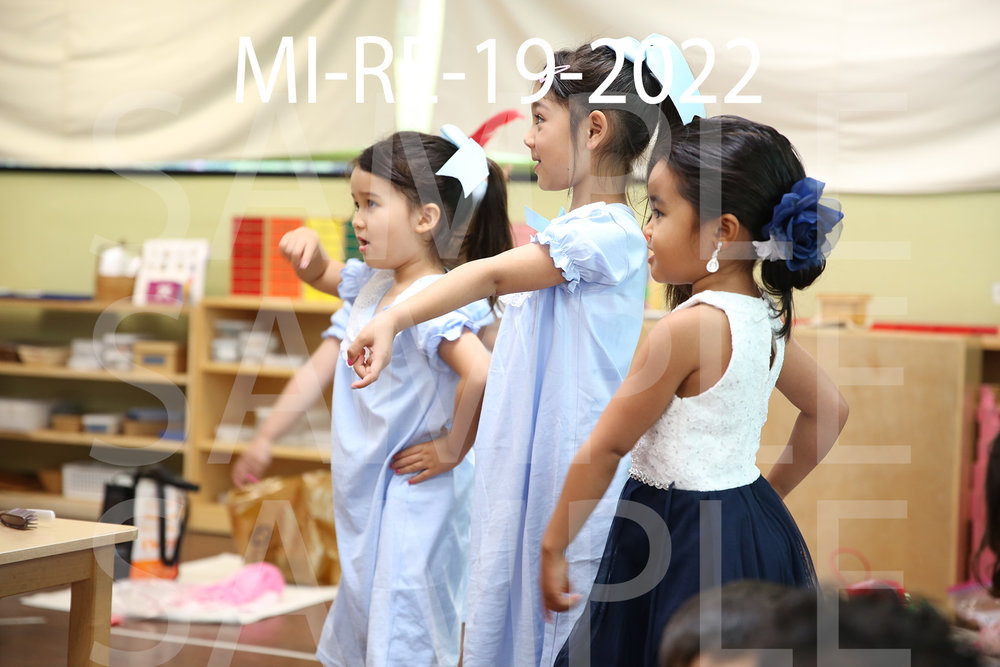 MI-RE-19-2022.jpg
