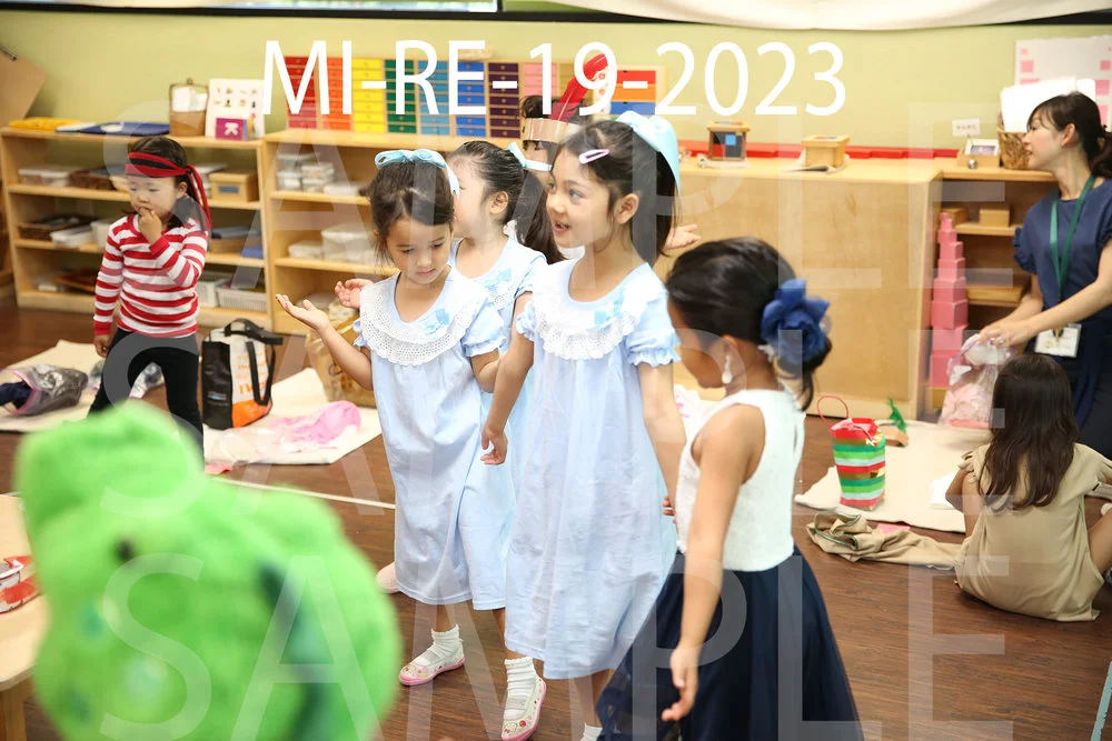 MI-RE-19-2023.jpg