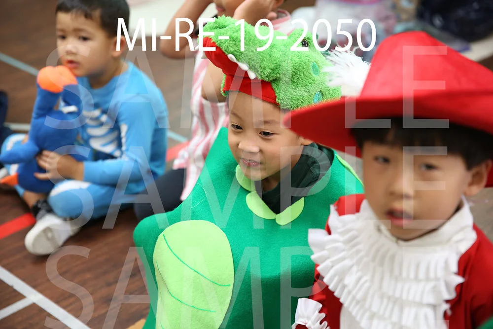 MI-RE-19-2050.jpg