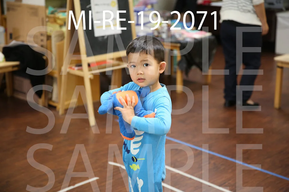 MI-RE-19-2071.jpg