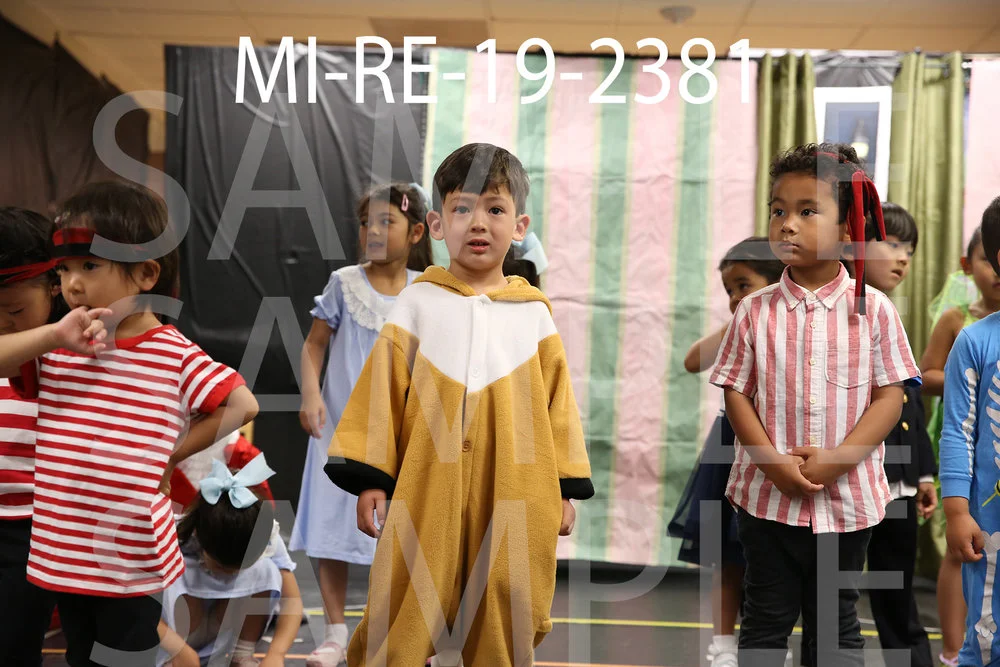 MI-RE-19-2381.jpg