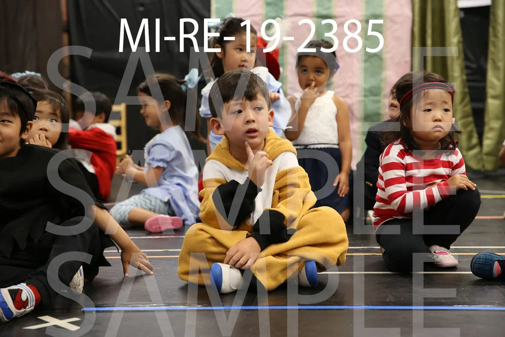 MI-RE-19-2385.jpg