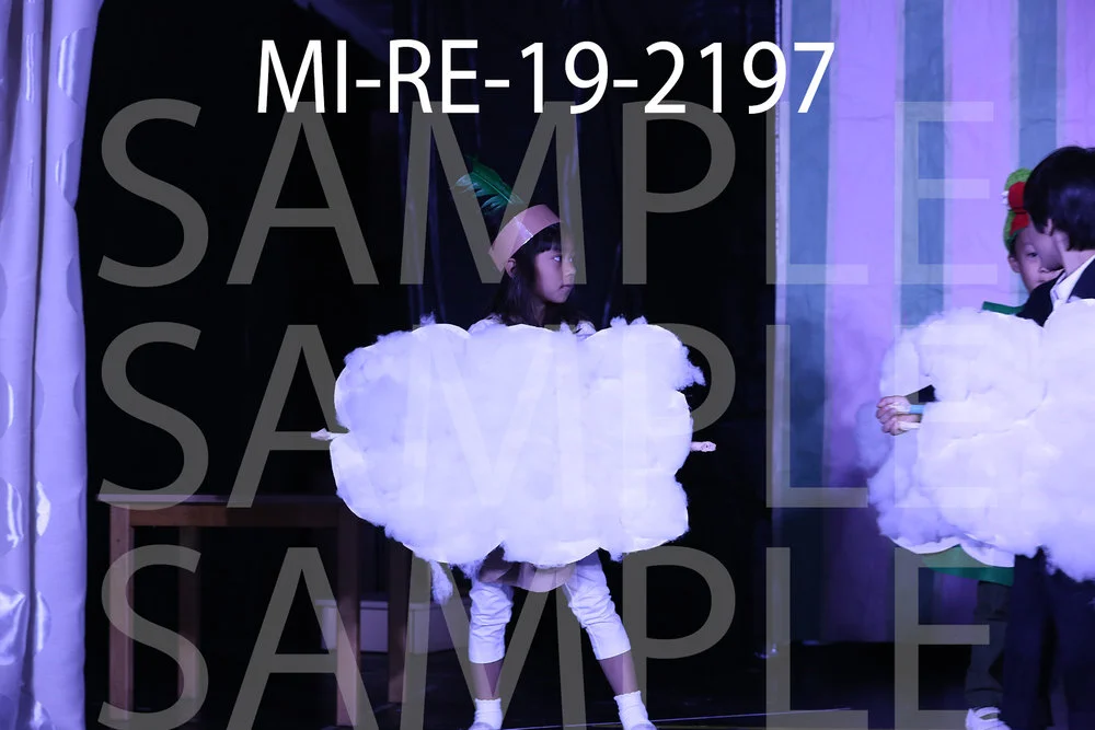 MI-RE-19-2197.jpg