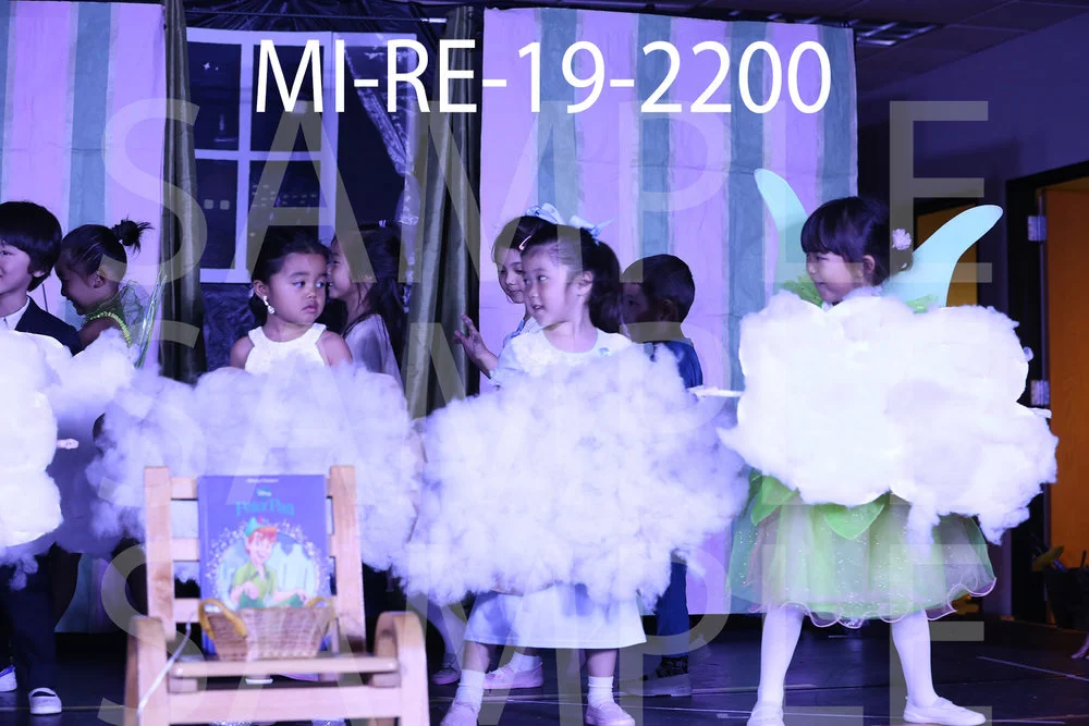 MI-RE-19-2200.jpg