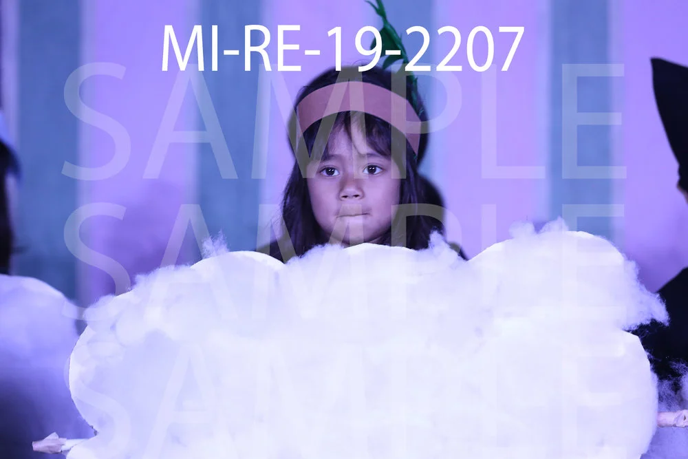 MI-RE-19-2207.jpg