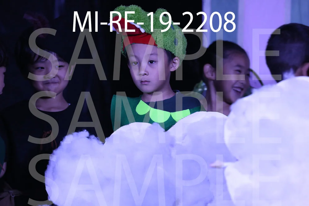 MI-RE-19-2208.jpg