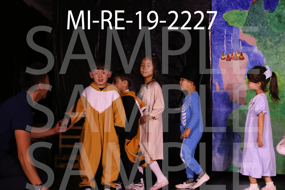 MI-RE-19-2227.jpg