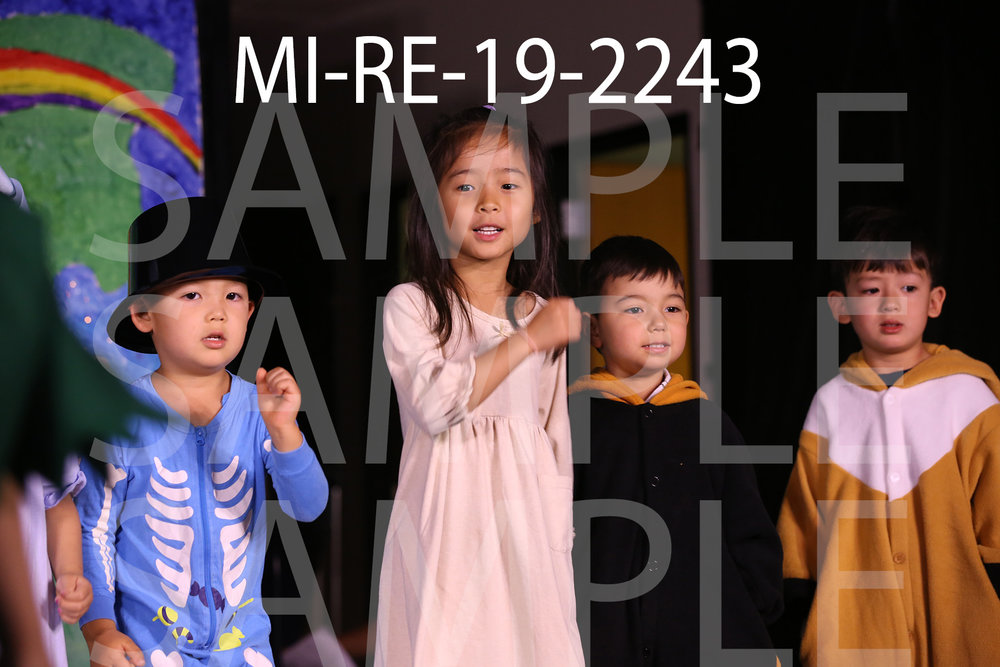 MI-RE-19-2243.jpg