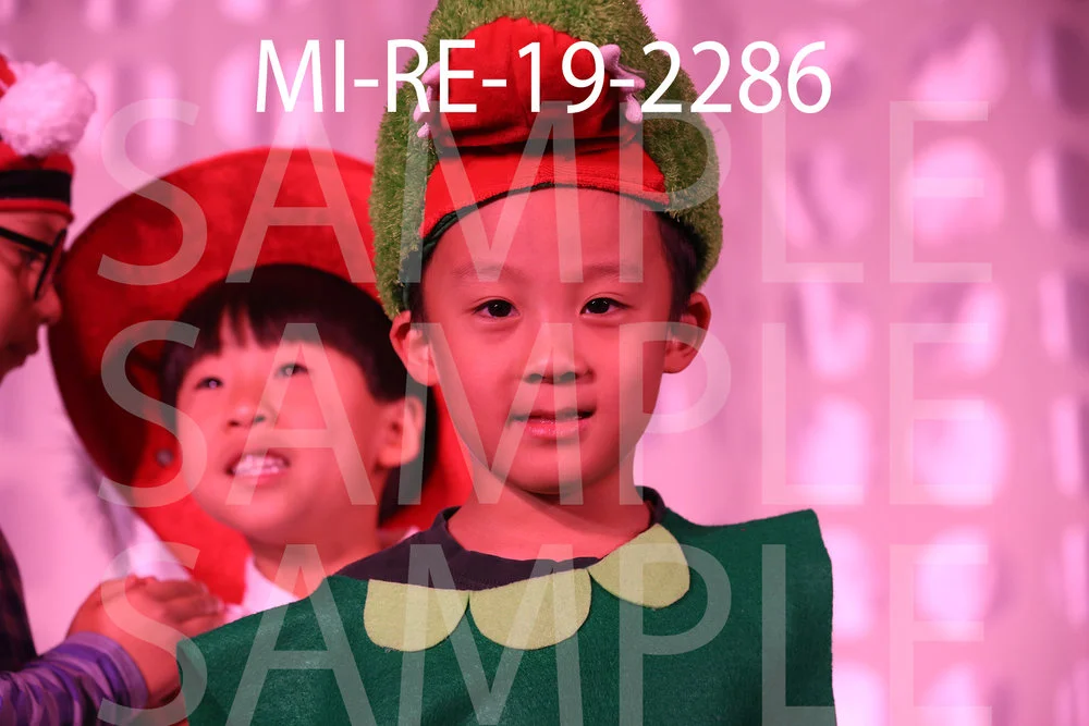 MI-RE-19-2286.jpg