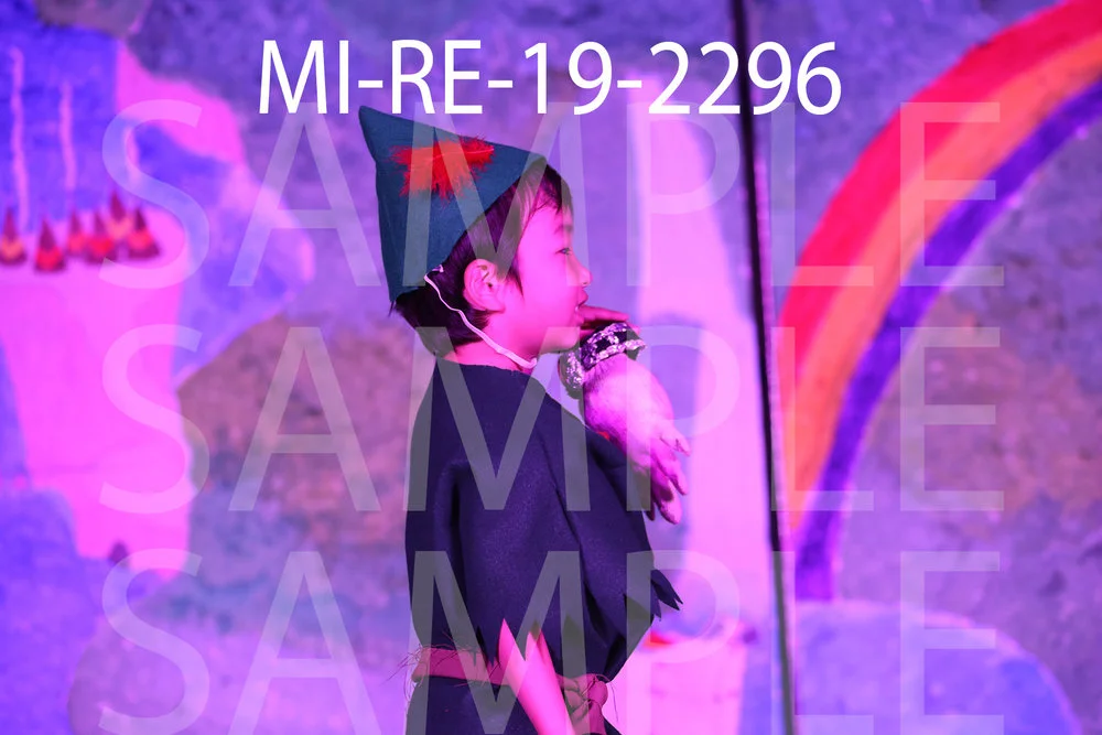 MI-RE-19-2296.jpg