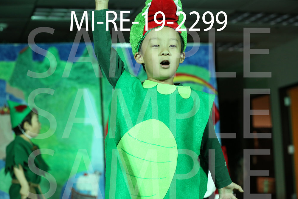 MI-RE-19-2299.jpg