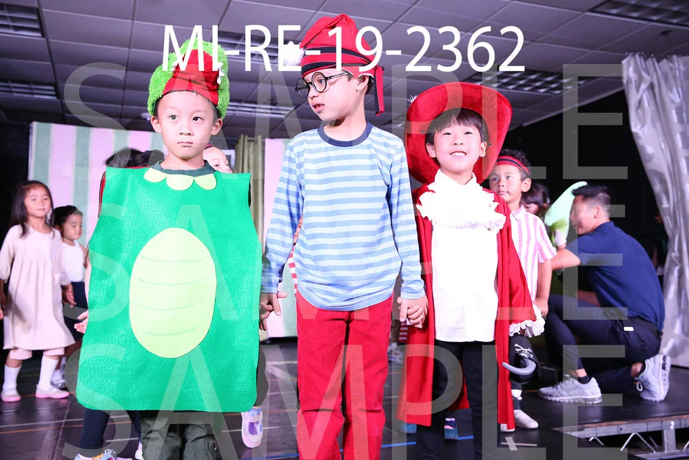 MI-RE-19-2362.jpg