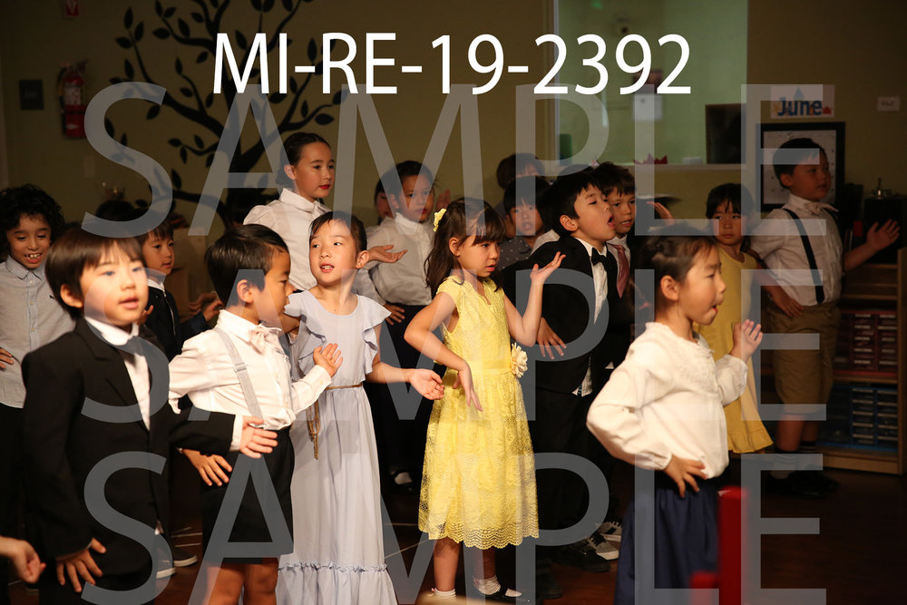 MI-RE-19-2392.jpg