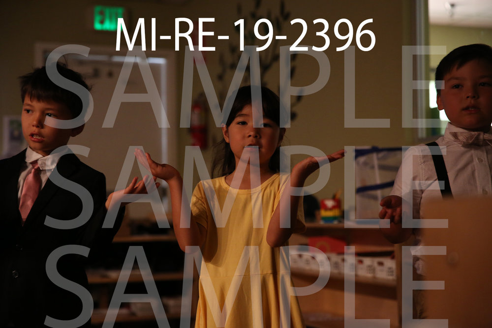 MI-RE-19-2396.jpg