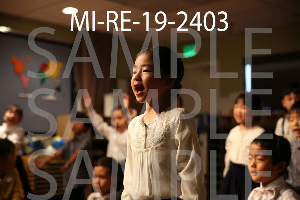 MI-RE-19-2403.jpg