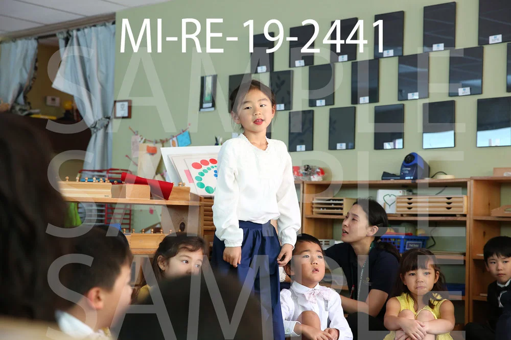 MI-RE-19-2441.jpg