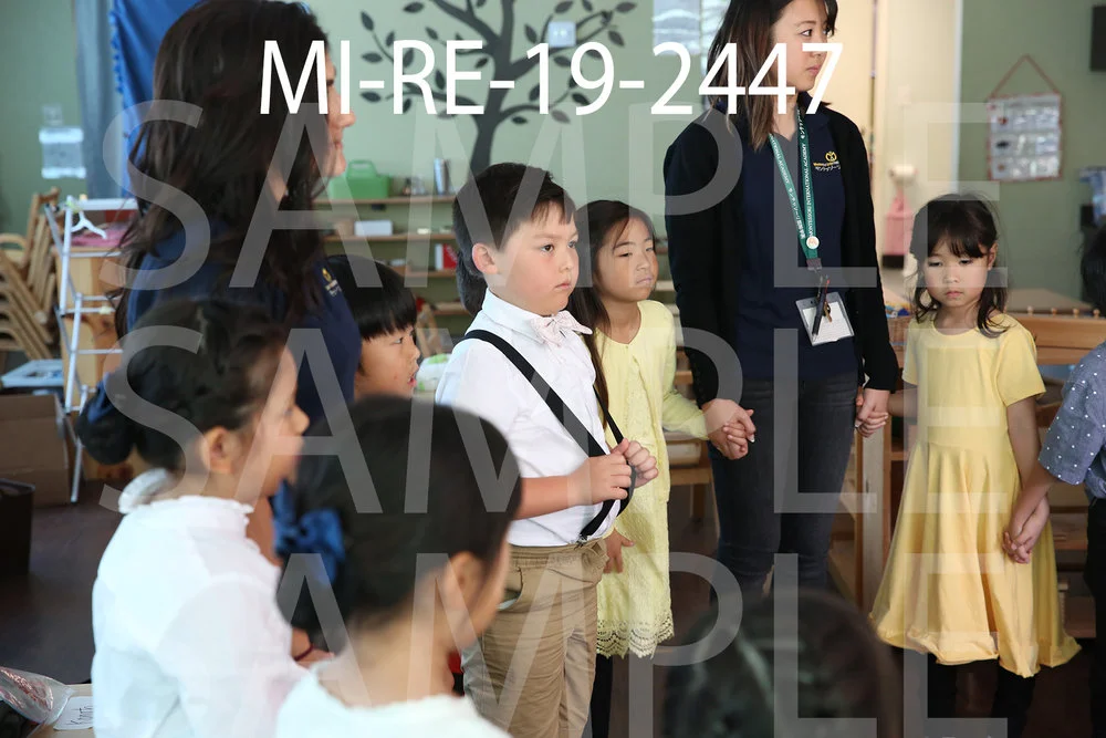 MI-RE-19-2447.jpg