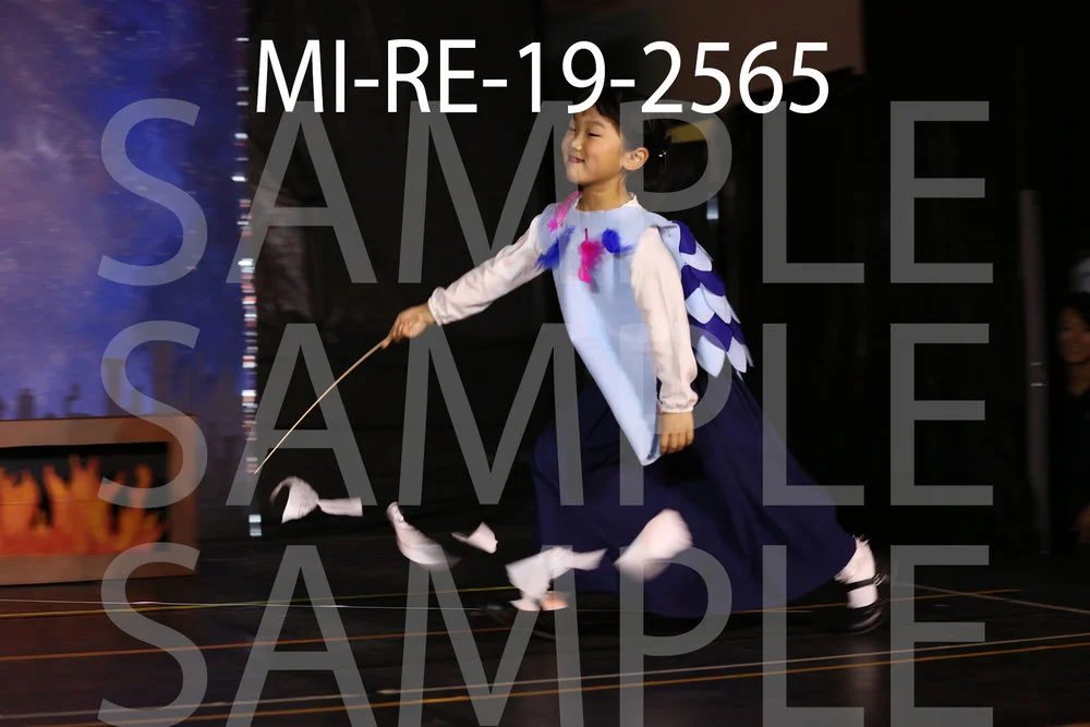 MI-RE-19-2565.jpg