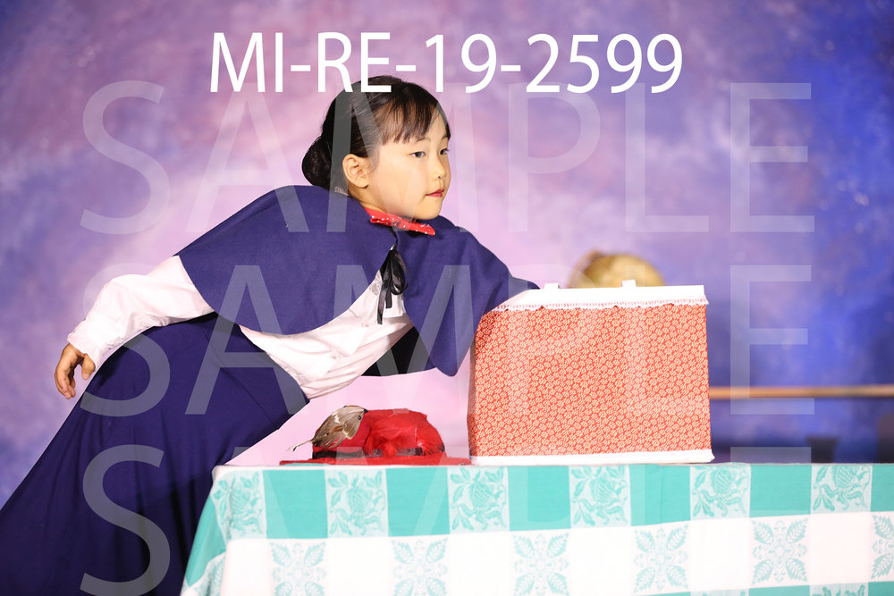 MI-RE-19-2599.jpg