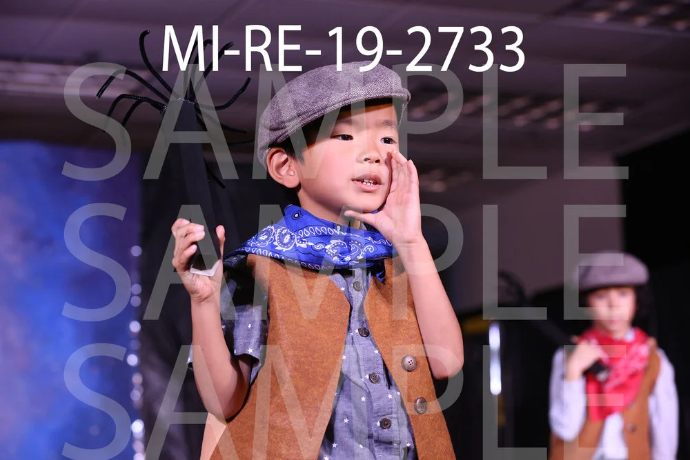 MI-RE-19-2733.jpg