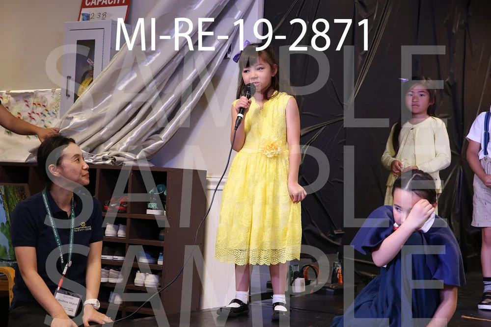 MI-RE-19-2871.jpg